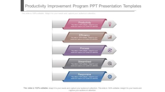 Productivity Improvement Program Ppt Presentation Templates