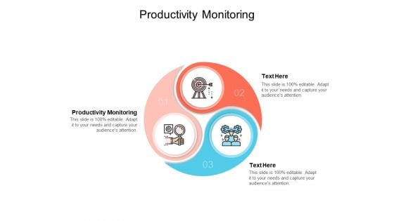 Productivity Monitoring Ppt PowerPoint Presentation Professional Format Cpb