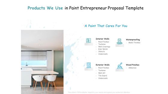 Products We Use In Paint Entrepreneur Proposal Template Ppt Pictures Brochure PDF