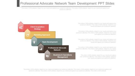 Professional Advocate Network Team Development Ppt Slides