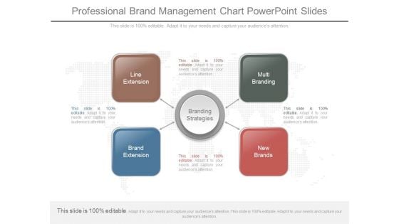 Professional Brand Management Chart Powerpoint Slides