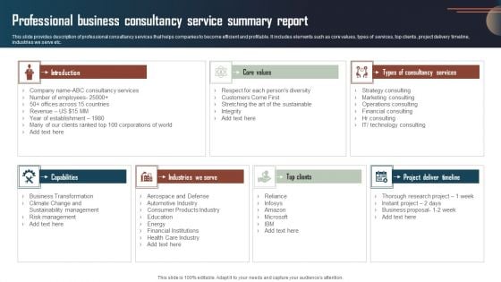 Professional Business Consultancy Service Summary Report Microsoft PDF