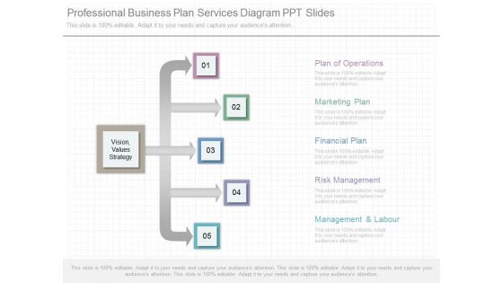 Professional Business Plan Services Diagram Ppt Slides Professional Business Plan Services Diagram Ppt Slides