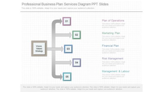 Professional Business Plan Services Diagram Ppt Slides