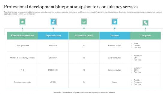 Professional Development Blueprint Snapshot For Consultancy Services Microsoft PDF