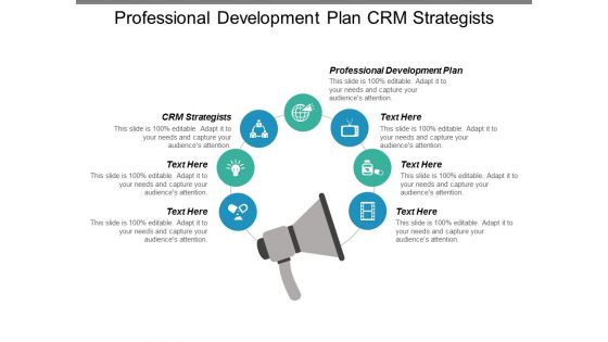 Professional Development Plan Crm Strategists Ppt PowerPoint Presentation Inspiration Show