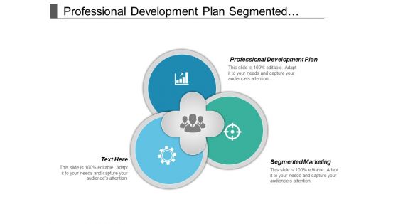 Professional Development Plan Segmented Marketing Ppt PowerPoint Presentation File Show