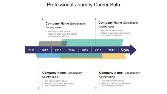Professional Journey Career Path Ppt PowerPoint Presentation Summary Layout Ideas