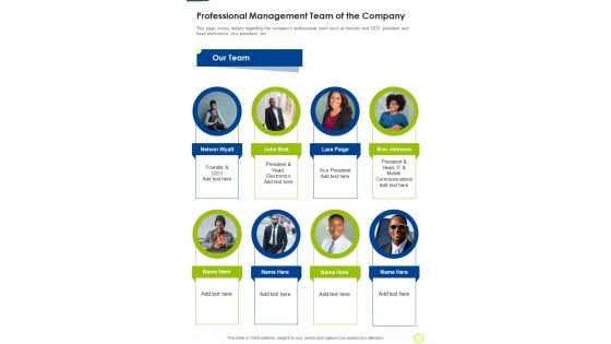 Professional Management Team Of The Company One Pager Documents