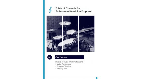 Professional Musician Proposal For Table Of Contents One Pager Sample Example Document