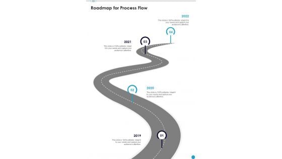 Professional Musician Proposal Roadmap For Process Flow One Pager Sample Example Document