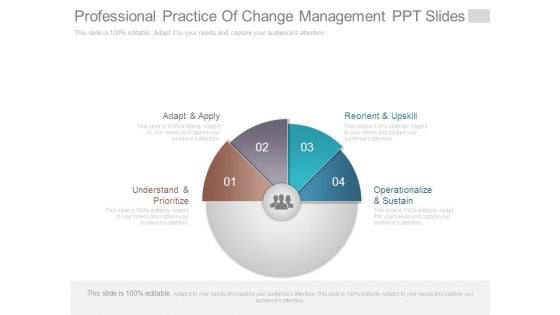 Professional Practice Of Change Management Ppt Slides