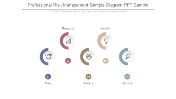 Professional Risk Management Sample Diagram Ppt Sample