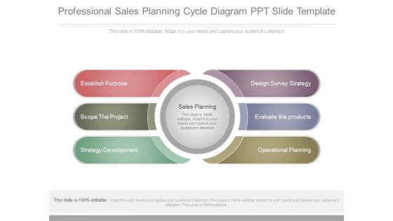 Professional Sales Planning Cycle Diagram Ppt Slide Template