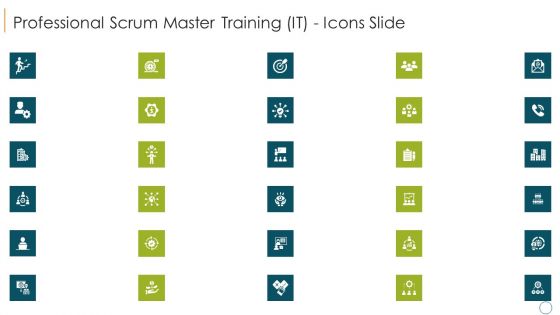 Professional Scrum Master Training IT Professional Scrum Master Training IT Icons Slide Summary PDF