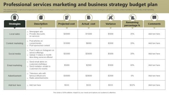 Professional Services Marketing And Business Strategy Budget Plan Microsoft PDF