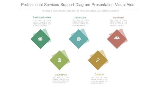 Professional Services Support Diagram Presentation Visual Aids