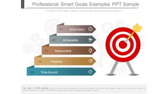 Professional Smart Goals Examples Ppt Sample