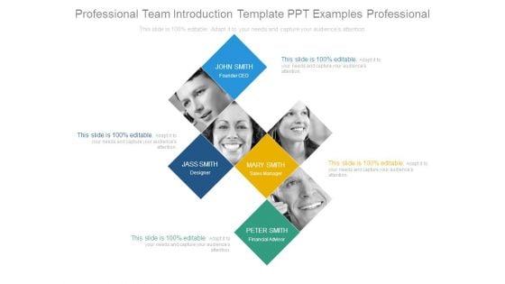 Professional Team Introduction Template Ppt Examples Professional