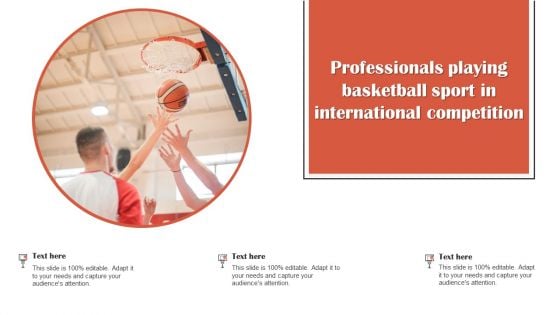 Professionals Playing Basketball Sport In International Competition Structure PDF