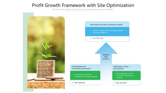 Profit Growth Framework With Site Optimization Ppt PowerPoint Presentation File Elements PDF