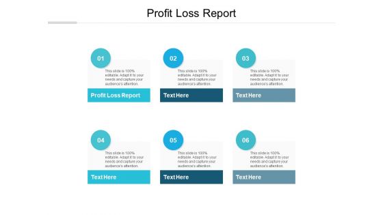 Profit Loss Report Ppt PowerPoint Presentation Summary Grid Cpb