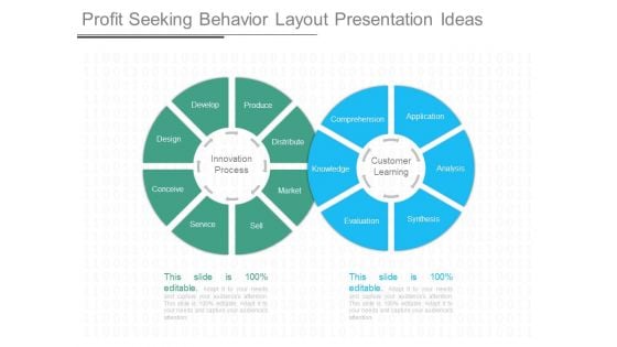 Profit Seeking Behavior Layout Presentation Ideas