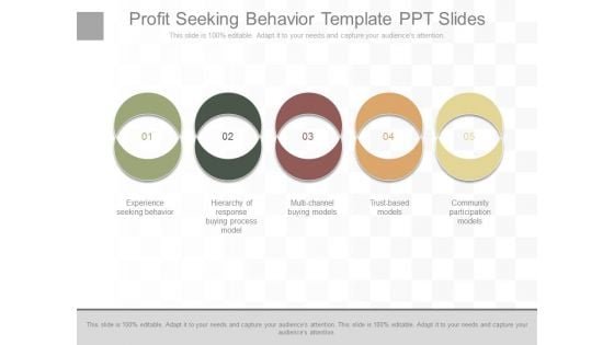 Profit Seeking Behavior Template Ppt Slides