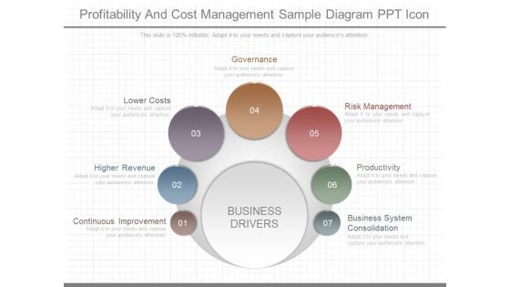 Profitability And Cost Management Sample Diagram Ppt Icon