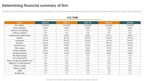 Profitability Modelling Framework Determining Financial Summary Of Firm Ideas PDF