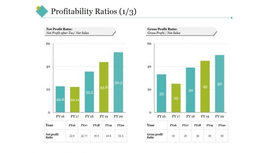 Profitability Ratios Template 2 Ppt PowerPoint Presentation Styles Example Topics