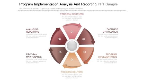 Program Implementation Analysis And Reporting Ppt Sample