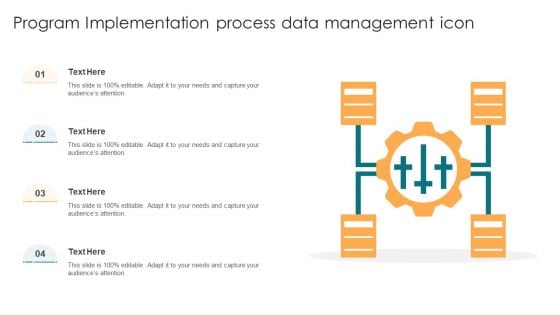 Program Implementation Process Data Management Icon Ppt Model Graphics Pictures PDF