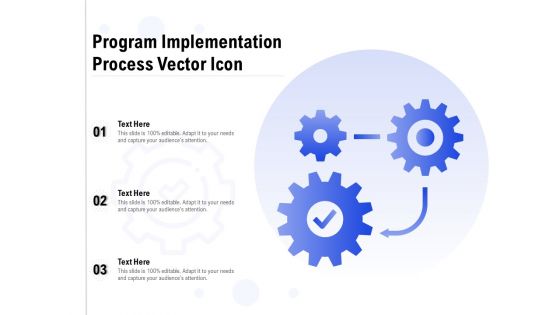 Program Implementation Process Vector Icon Ppt PowerPoint Presentation Styles Example Topics