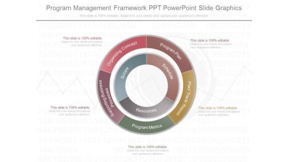 Program Management Framework Ppt Powerpoint Slide Graphics