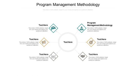 Program Management Methodology Ppt PowerPoint Presentation Styles Structure Cpb