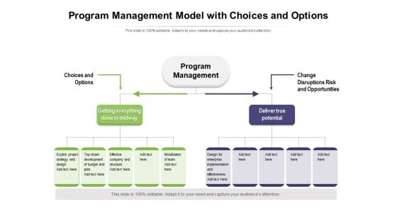 Program Management Model With Choices And Options Ppt PowerPoint Presentation Outline Slideshow PDF