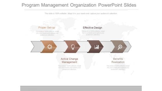 Program Management Organization Powerpoint Slides