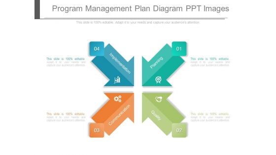 Program Management Plan Diagram Ppt Images