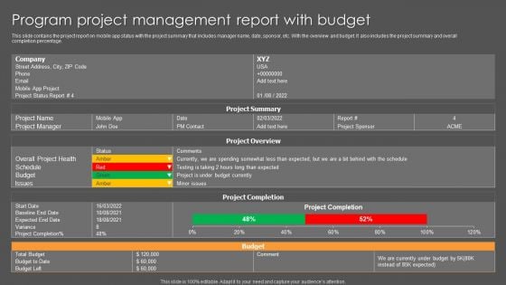 Program Project Management Report With Budget Ppt Summary Rules PDF