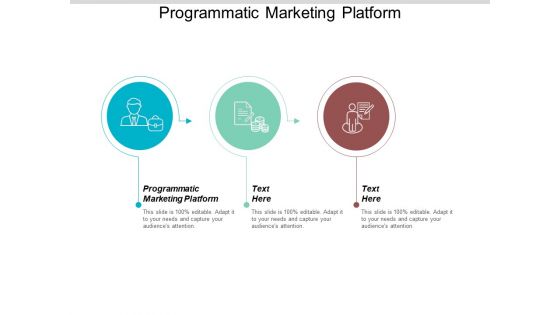 Programmatic Marketing Platform Ppt PowerPoint Presentation Infographic Template Elements Cpb