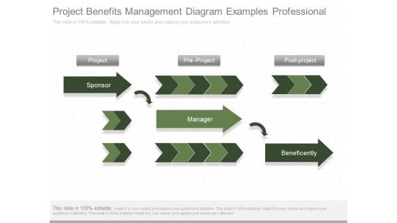 Project Benefits Management Diagram Examples Professional Project Benefits Management Diagram Examples Professional