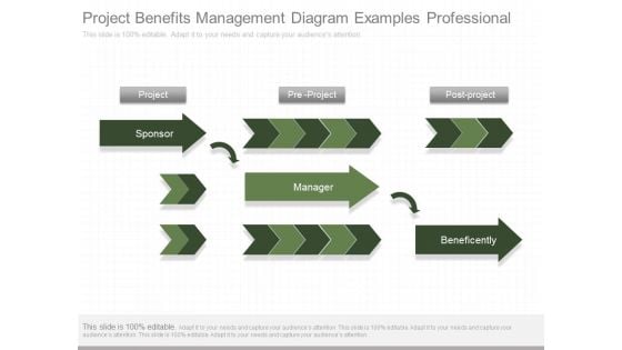 Project Benefits Management Diagram Examples Professional