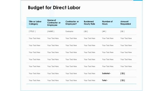 Project Budget Budget For Direct Labor Ppt PowerPoint Presentation Icon Slide PDF