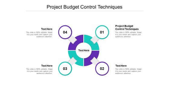 Project Budget Control Techniques Ppt PowerPoint Presentation Portfolio Design Inspiration Cpb