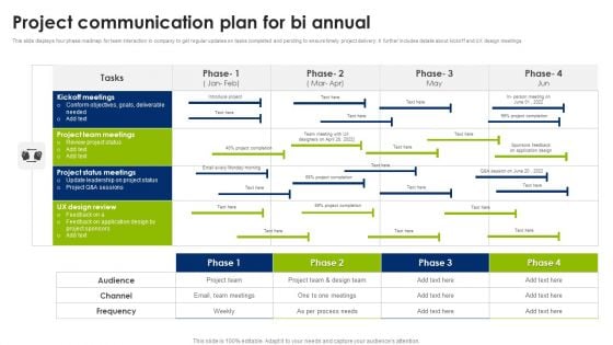 Project Communication Plan For Bi Annual Mockup PDF