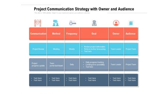 Project Communication Strategy With Owner And Audience Ppt PowerPoint Presentation Portfolio Portrait PDF