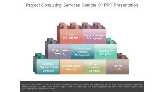 Project Consulting Services Sample Of Ppt Presentation