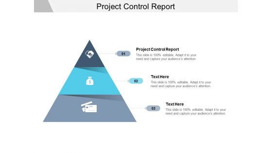 Project Control Report Ppt PowerPoint Presentation Pictures Tips Cpb