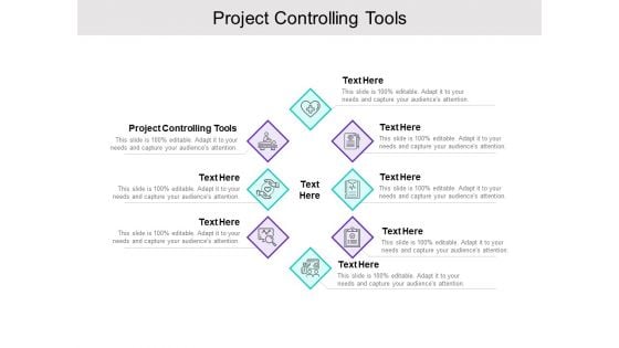 Project Controlling Tools Ppt PowerPoint Presentation Icon Background Image Cpb